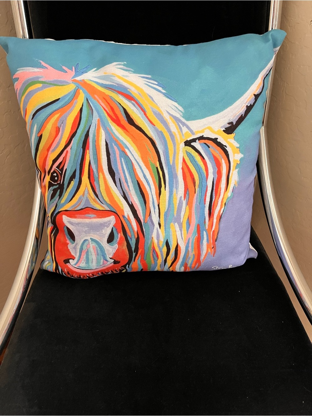 Throw pillow